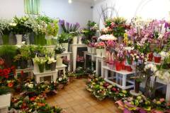Fleuriste Corinne Delforge Int 48